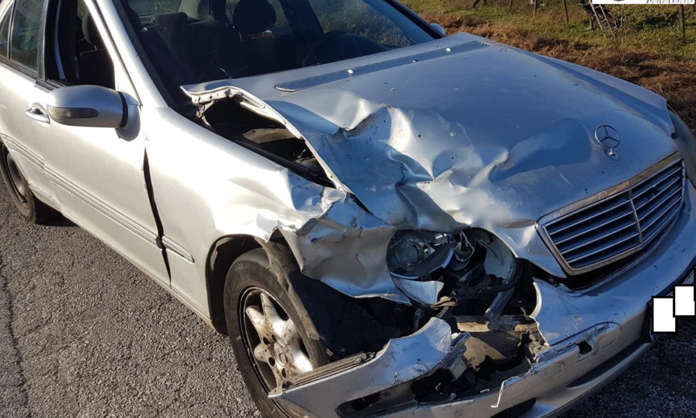 Foto Nota Stampa Carabinieri