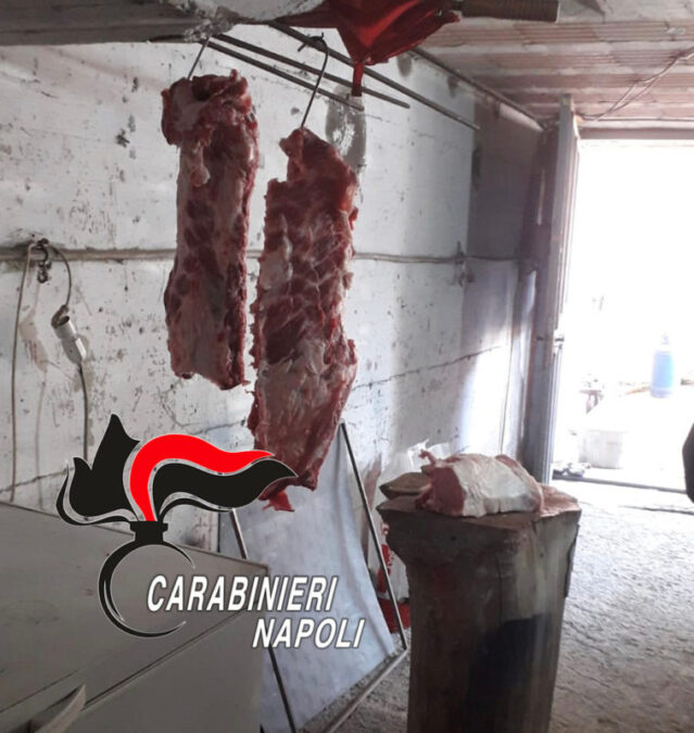 Macellazione abusiva Marigliano 26.01.2020