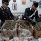 Palma Campania droga