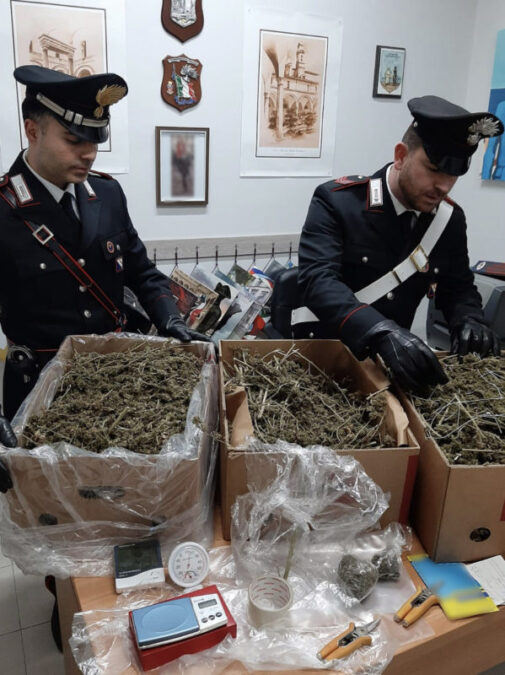 Palma Campania droga