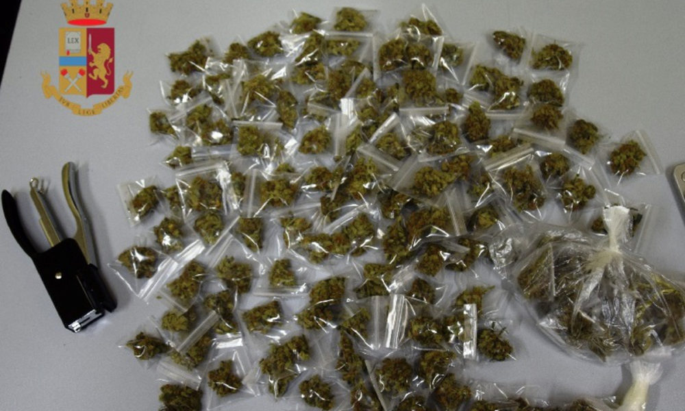 121 confezioni di marijuana