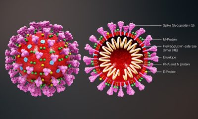 rappresentazione del nuovo coronavirus 2019-nCoV