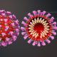 rappresentazione del nuovo coronavirus 2019-nCoV