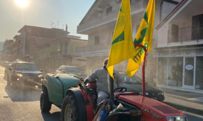 Sanificazione Quarto