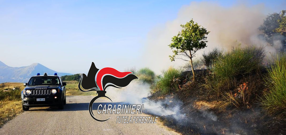 Carabinieri forestali Napoli 11-04-2020