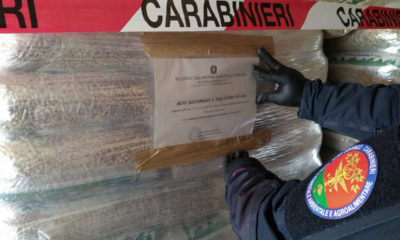 Pellet al veleno posto sotto sequestro