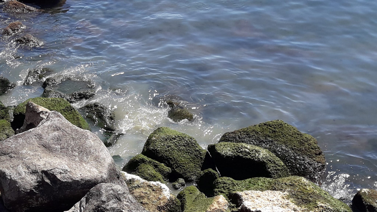 Scarico in mare Fogna Comunale