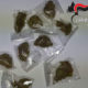 Droga Paternopoli