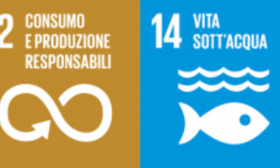 Agenda2020 obiettivi 12 e 14
