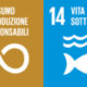 Agenda2020 obiettivi 12 e 14
