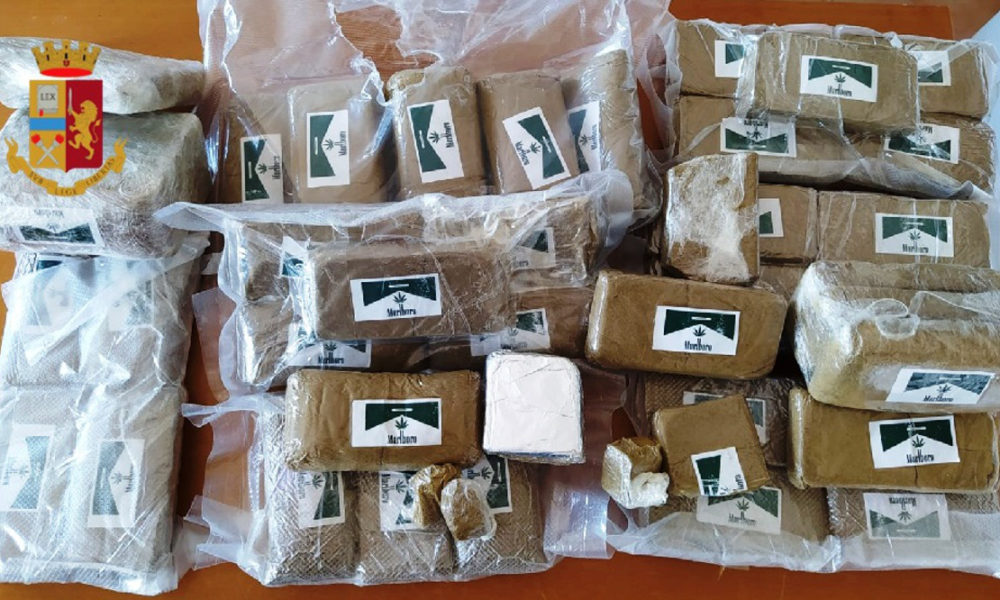 Panetti droga