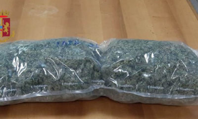 Vasto droga