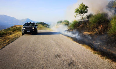 Carabinieri Forestali incendi boschivi