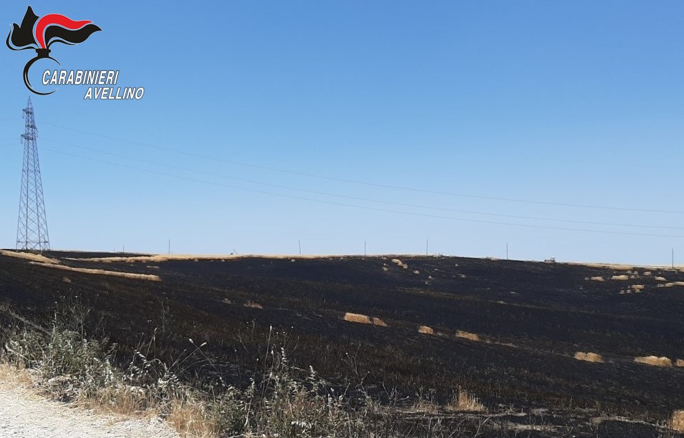 incendio campo grano bisaccia