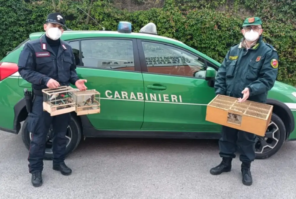 denunciato a Grumo Nevano
