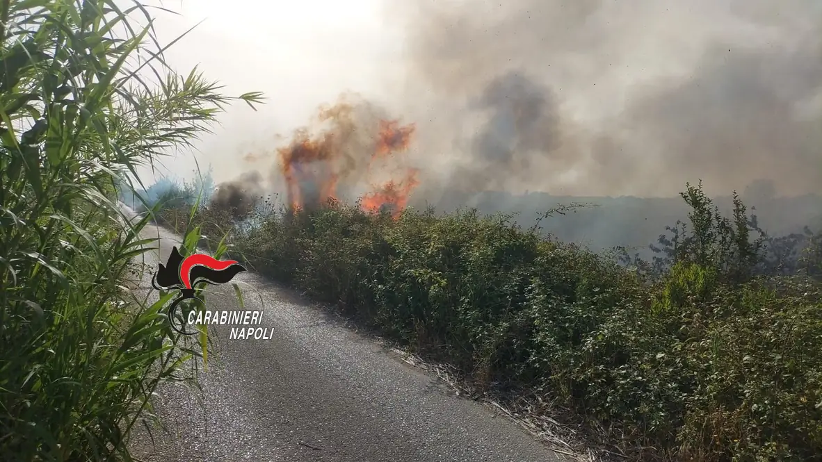 Combustione illecita di rifiuti