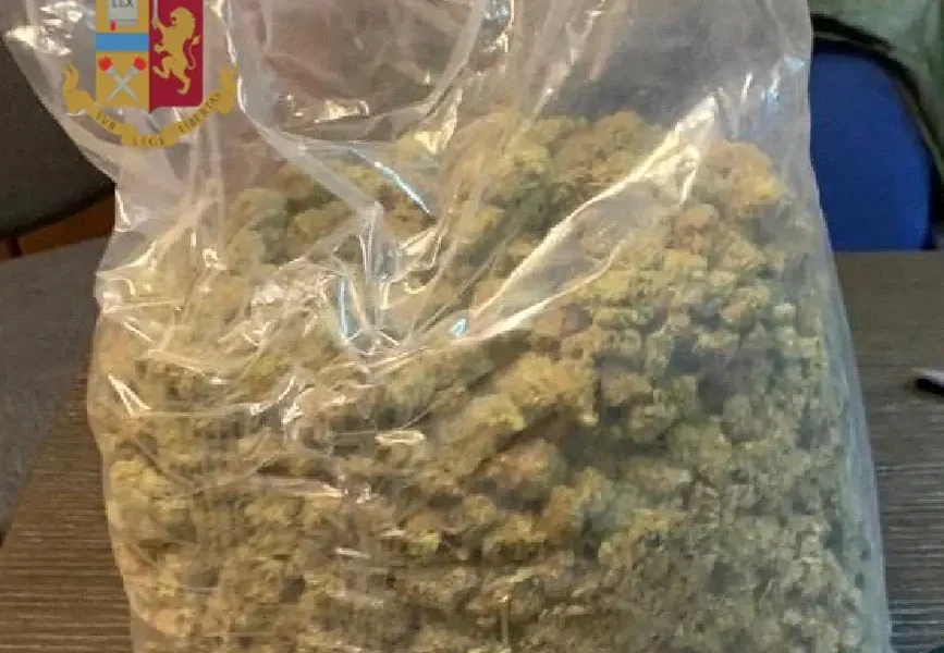 900 grammi di marijuana in casa
