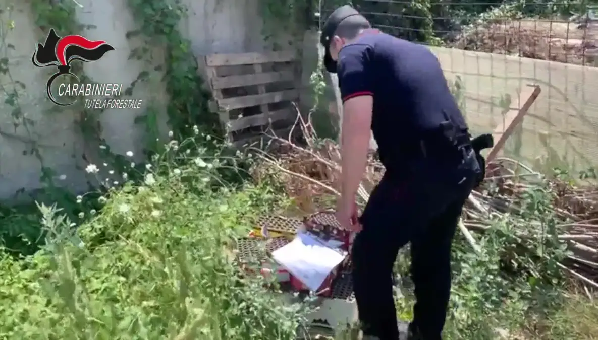 Cratere degli astroni