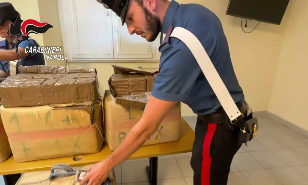 231 chili di hashish sequestrati