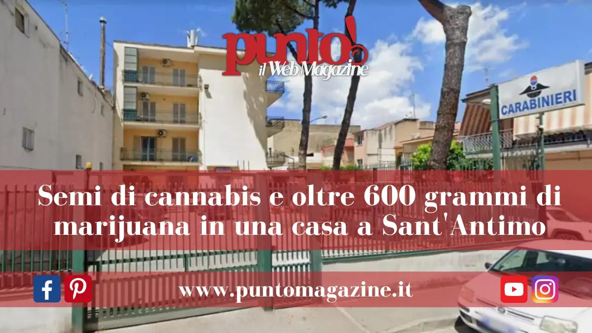 Marijuana e semi di cannabis in casa