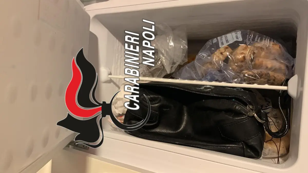 Nasconde droga nel congelatore