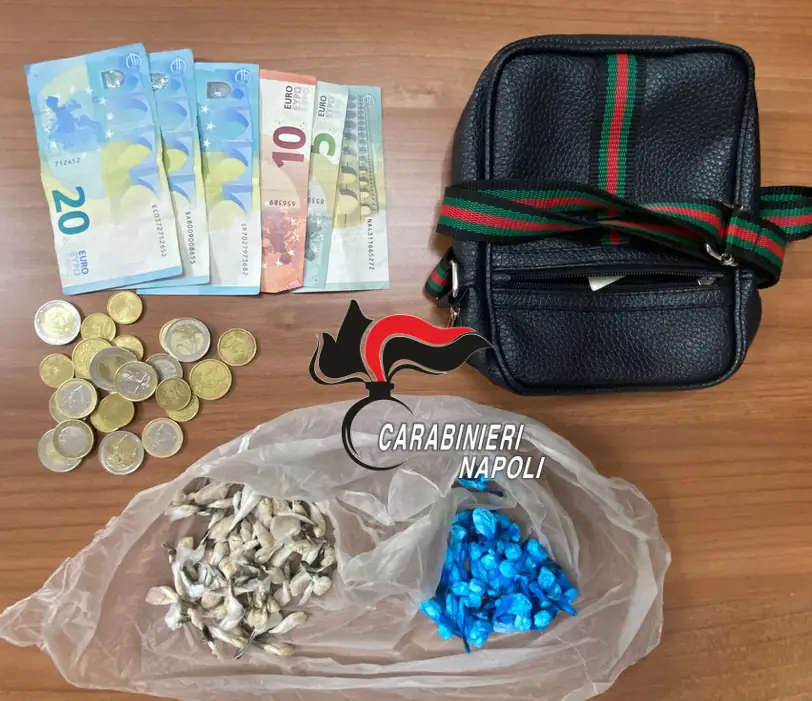 Arrestati 2 pusher in erba
