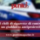 Sequestrati 3kg di bionde