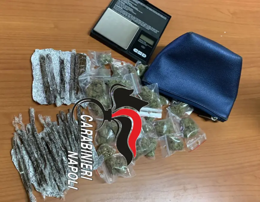 Nasconde droga in un cespuglio