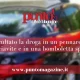 Droga nascosta in auto