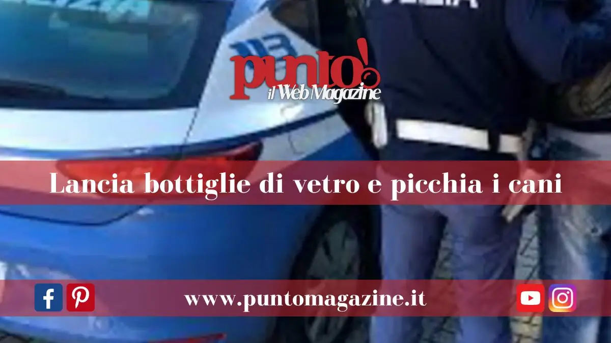 Aggredisce dog-sitter e picchia i cani