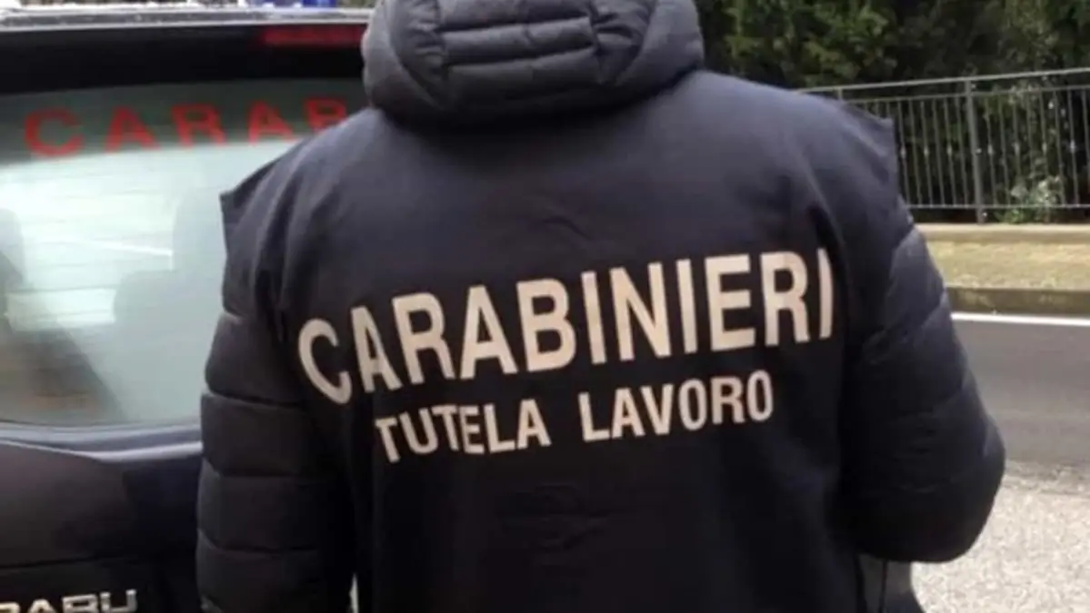 Carne avariata