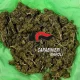 marijuana nascosta in un terreno ad anacapri