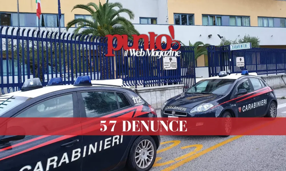 Reddito di cittadinanza : 57 denunce