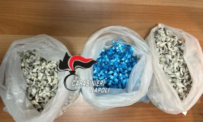 Caivano: arrestate 2 persone