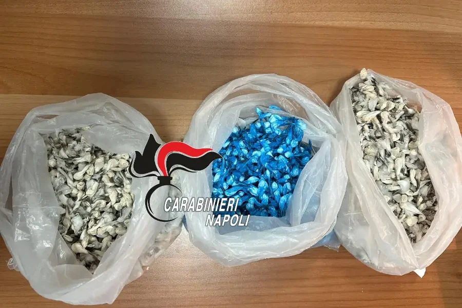 Caivano: arrestate 2 persone