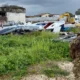 Sequestrato rimessaggio con 141 barche