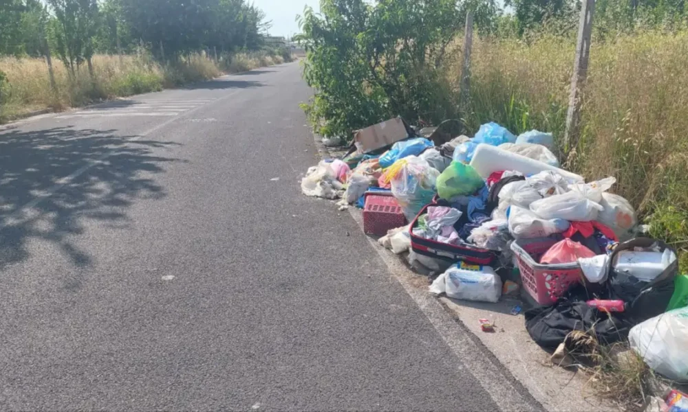 moennezza via falcone 1