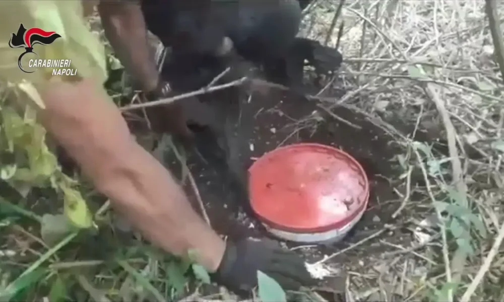 Lettere e Sant'antonio abate - continuum bellum