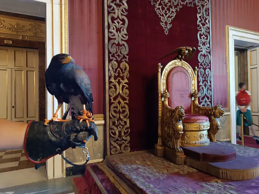 Storia della Falconeria a Napoli