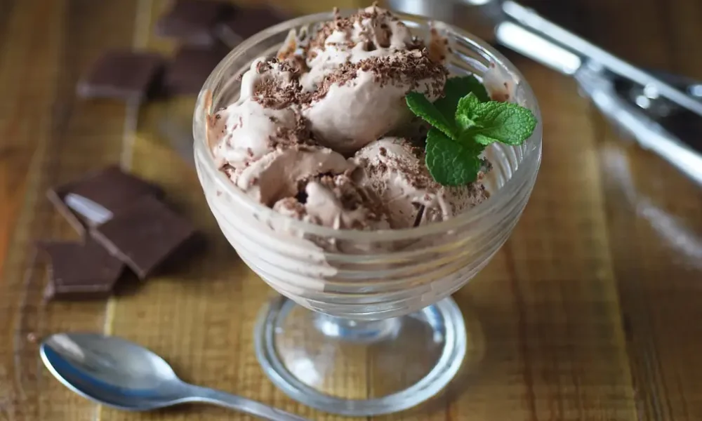 Gelato fatto in casa