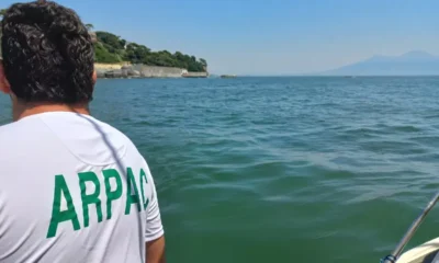 Colorazione verde Golfo di Napoli