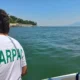 Colorazione verde Golfo di Napoli