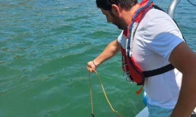 ARPAC: Colorazione anomala del Golfo