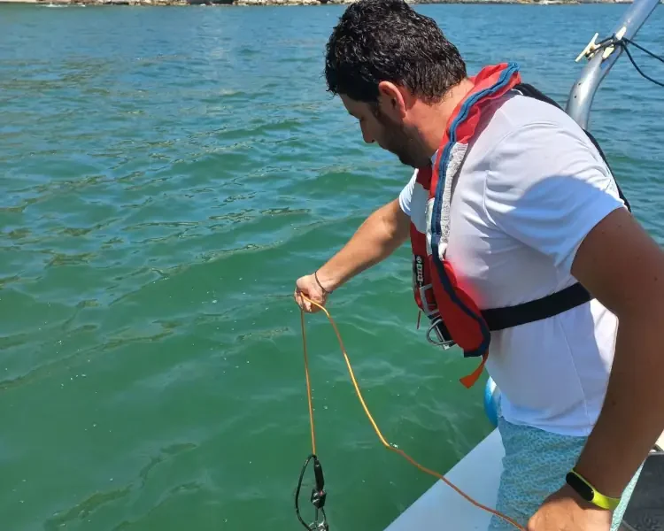 ARPAC: Colorazione anomala del Golfo