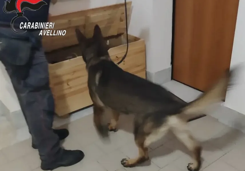 Sorpresi in possesso di cocaina
