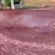Vino Rosso inonda strade