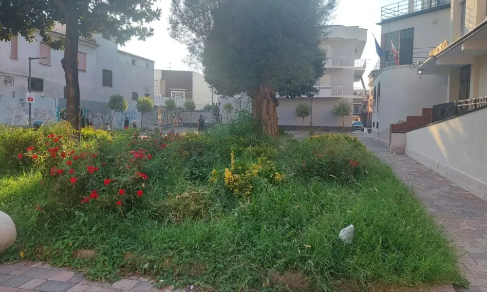 Niente diserbo davanti al Municipio