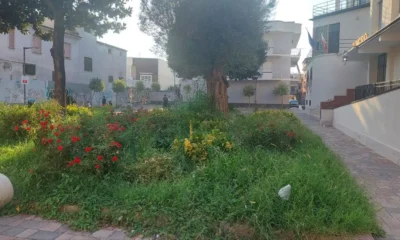 Niente diserbo davanti al Municipio