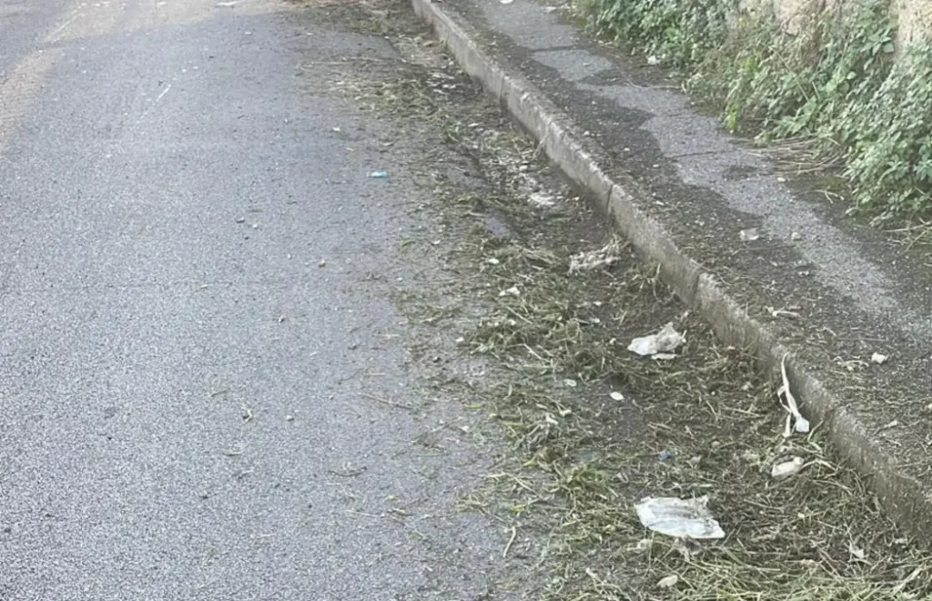 Diserbata via Nicola Fele