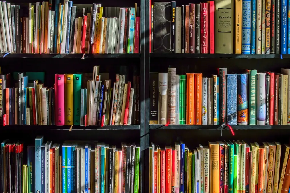 Cedole libri Primarie Qualiano